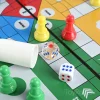 Ludo game pieces and rolling dice close up in Pakistan